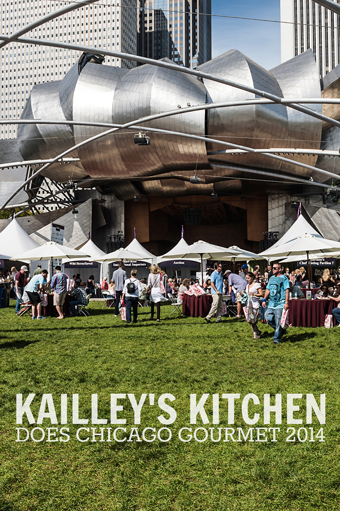 Kailley's Kitchen Does Chicago Gourmet 2014
