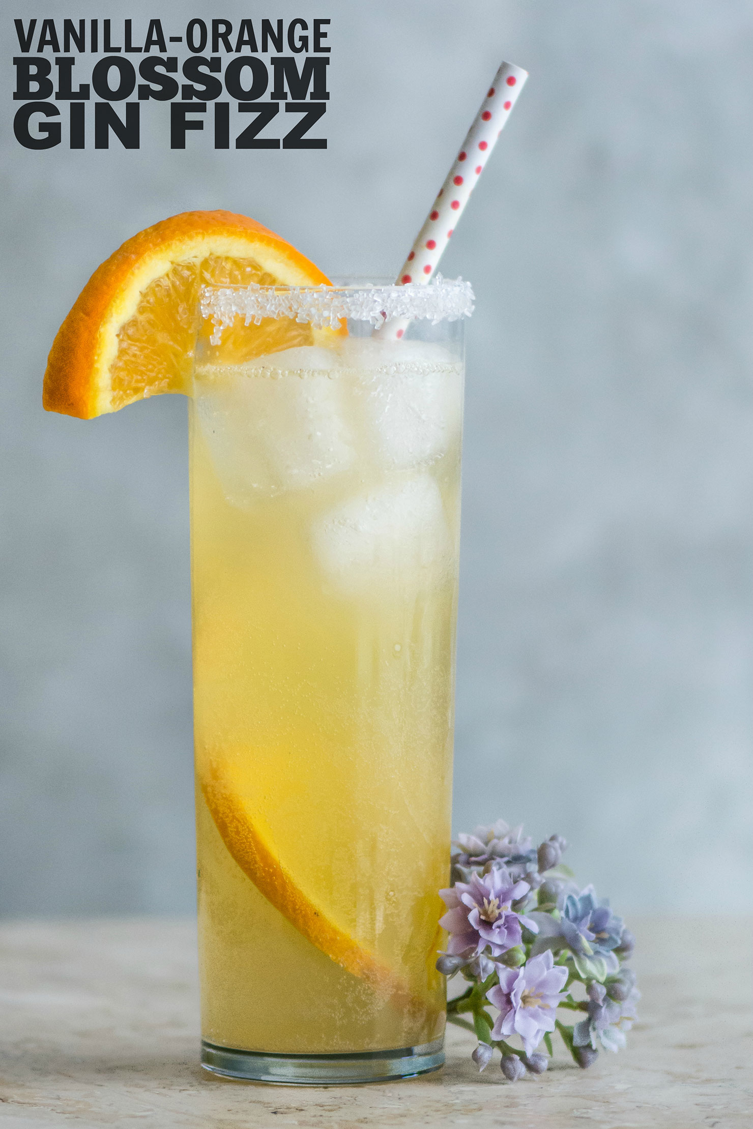 Vanilla-Orange Blossom Gin Fizz | Kailley's Kitchen